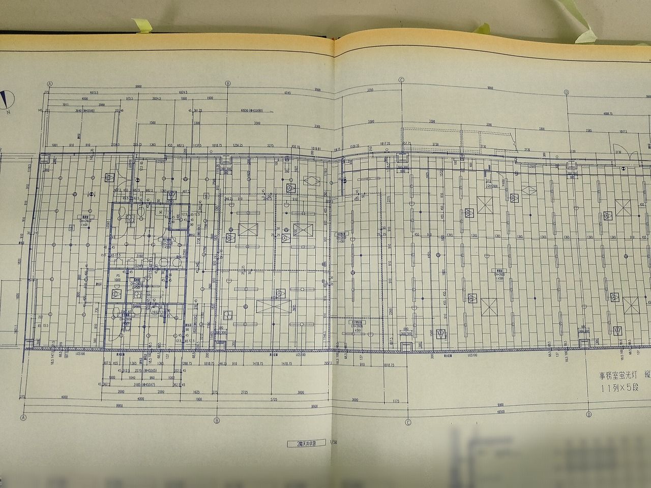 天井伏せ図の実例